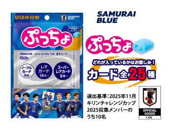 ぷっちょ袋　サッカー日本代表カード　ソーダ味