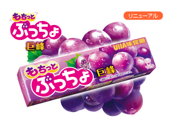 ぷっちょスティック　もちっと巨峰