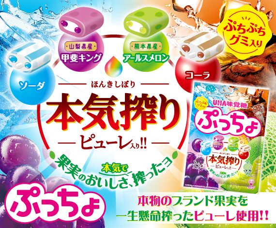４つの味が楽しめる“本気搾り”のぷっちょ『ぷっちょ袋　４種アソート』