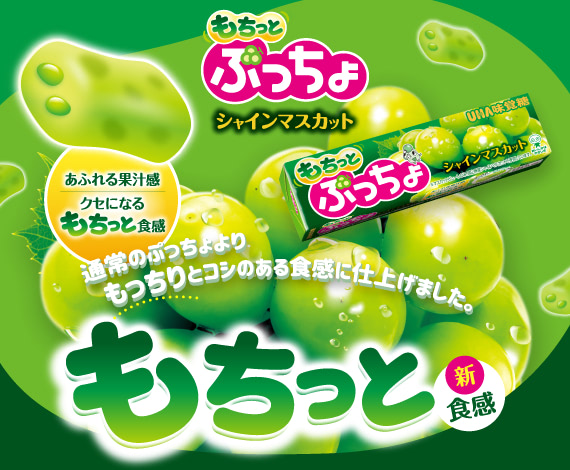 もちっとした食感が楽しめる『ぷっちょスティック　もちっとシャインマスカット』登場！