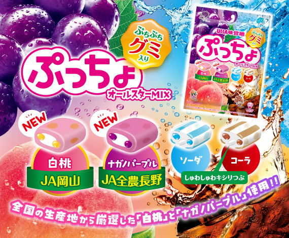 ４つの味が楽しめるぷっちょがリニューアル！『ぷっちょ袋　４種アソート』登場！