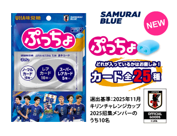 ぷっちょ袋　サッカー日本代表カード　ソーダ味