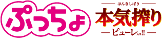 ぷっちょ袋　４種アソート　本気搾りピューレ入り