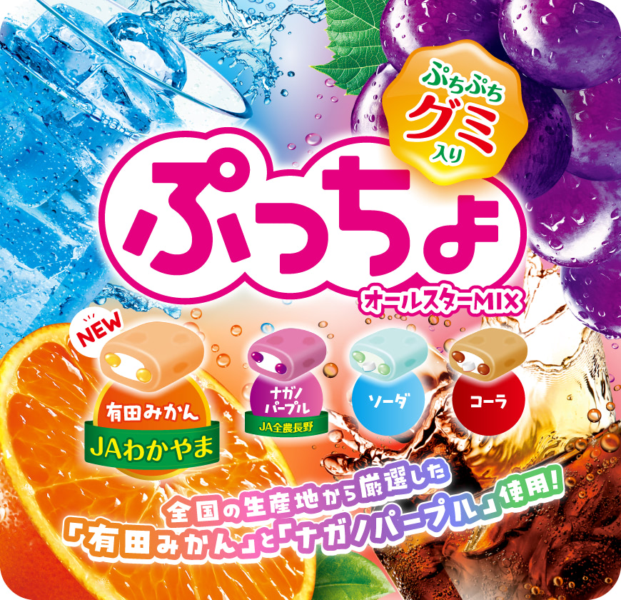 ぷっちょ袋　４種アソート - 全国の生産地から厳選した「有田みかん」と「ナガノパープル」使用！