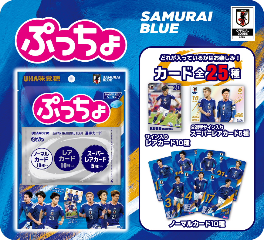 ぷっちょ袋 サッカー日本代表カード ソーダ味