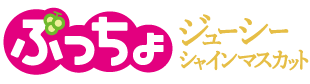 ぷっちょスティック　ジューシーシャインマスカット
