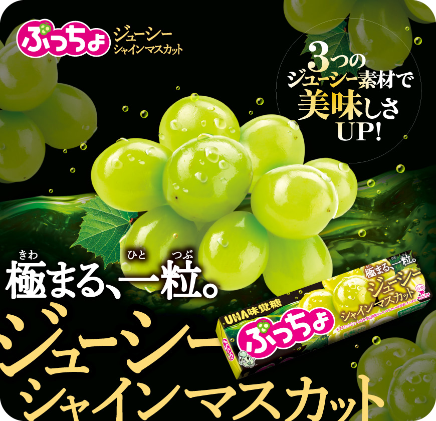 極まる、一粒。ジューシーシャインマスカット