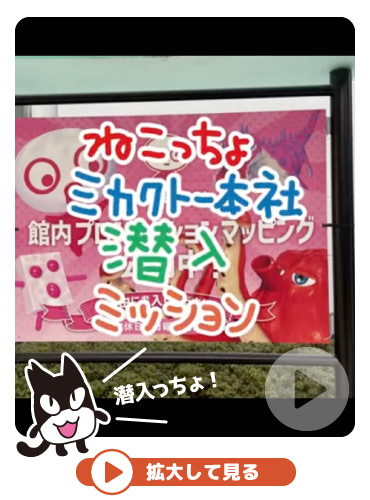 ぷっちょどうが『ねこっちょ ミカクトー本社 潜入ミッション』